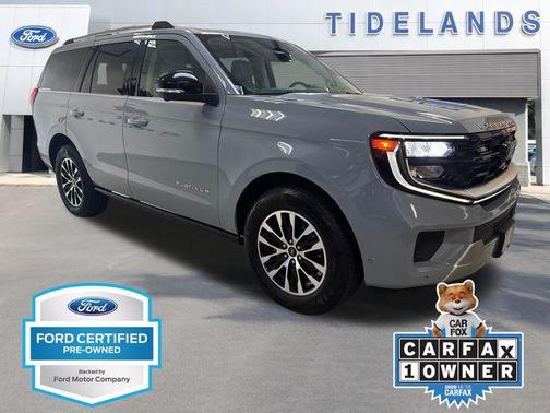 Glacier Gray Metallic 2025 Ford Expedition Platinum