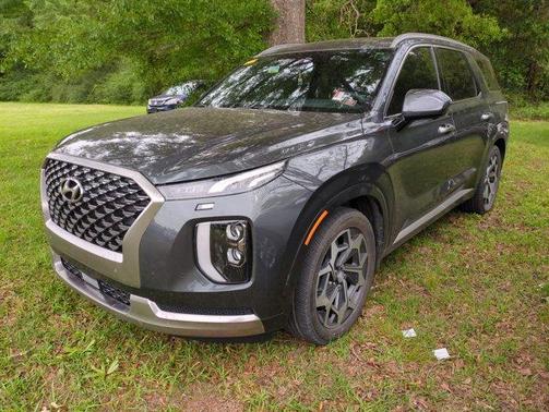 Rainforest 2022 Hyundai PALISADE Calligraphy