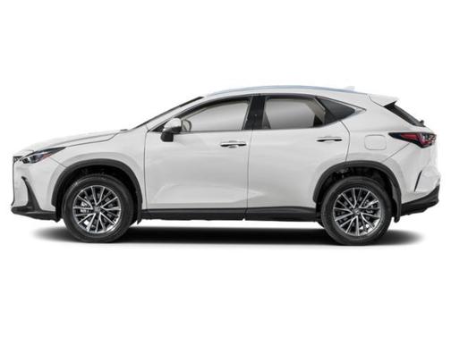 2025 Lexus NX 350 Base