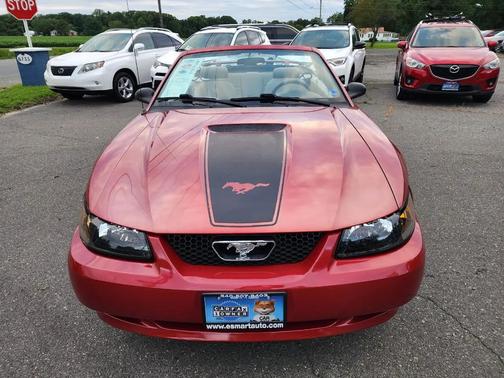 Performance Red Clearcoat 2001 Ford Mustang Base