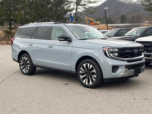 Glacier Gray Metallic 2025 Ford Expedition Platinum