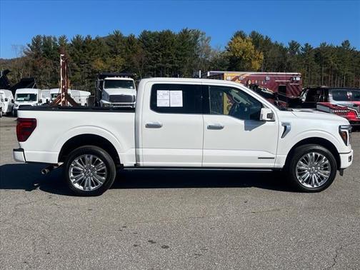 2024 Ford F-150 PLATINUM