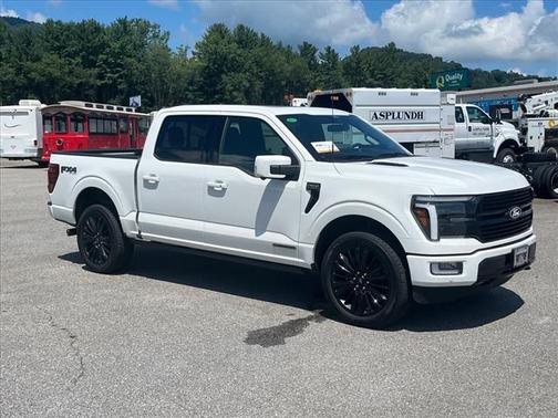 2025 Ford F-150 PLATINUM