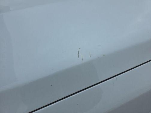 Snow White Pearl 2017 Kia Optima LX