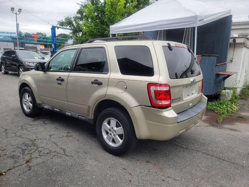 Gold Leaf Metallic 2010 Ford Escape XLT