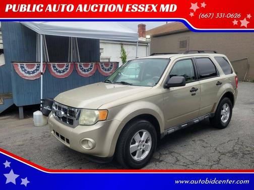 Gold Leaf Metallic 2010 Ford Escape XLT