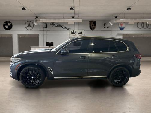 Arctic Gray Metallic 2020 BMW X5 sDrive40i