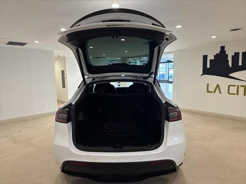 2021 Tesla Model Y Performance Dual Motor All-Wheel Drive