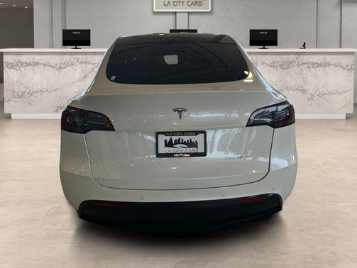 Pearl White Multi-Coat 2020 Tesla Model Y Performance Dual Motor All-Wheel Drive