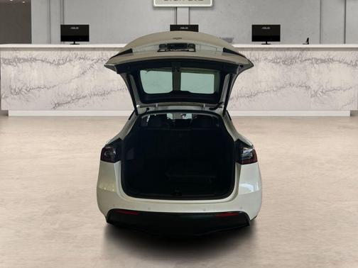 Pearl White Multi-Coat 2020 Tesla Model Y Performance Dual Motor All-Wheel Drive