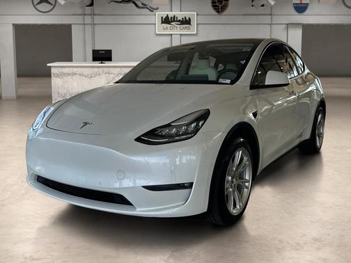 Pearl White Multi-Coat 2021 Tesla Model Y Long Range Dual Motor All-Wheel Drive