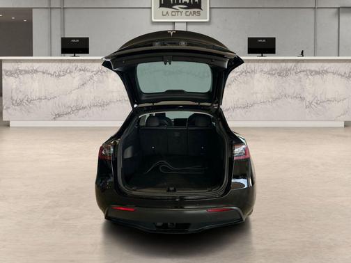 2021 Tesla Model Y Performance Dual Motor All-Wheel Drive