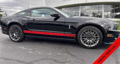 2011 Ford Shelby GT500 Base