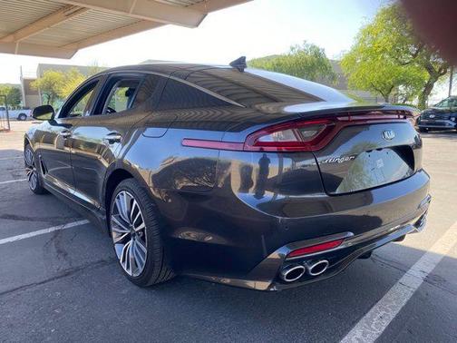 Panthera Metal 2019 Kia Stinger Base
