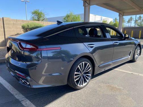 Panthera Metal 2019 Kia Stinger Base
