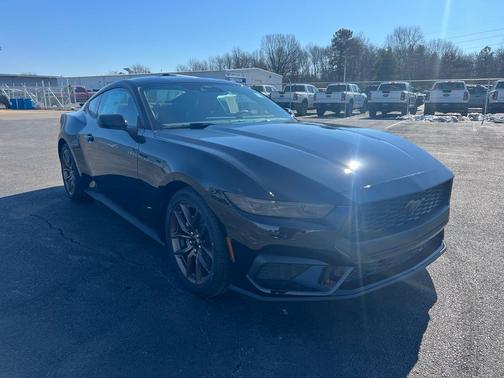 Shadow Black 2026 Ford Mustang EcoBoost