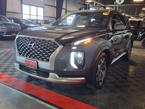 Rainforest 2022 Hyundai PALISADE Calligraphy