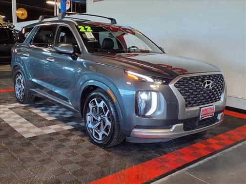 Rainforest 2022 Hyundai PALISADE Calligraphy