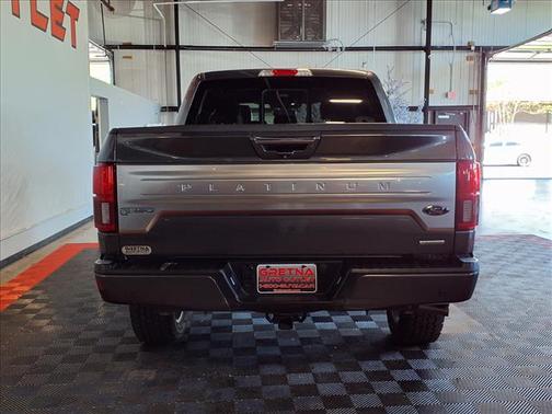 Magnetic Metallic 2019 Ford F-150 Platinum