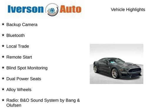 Magnetic 2019 Ford Mustang GT Premium