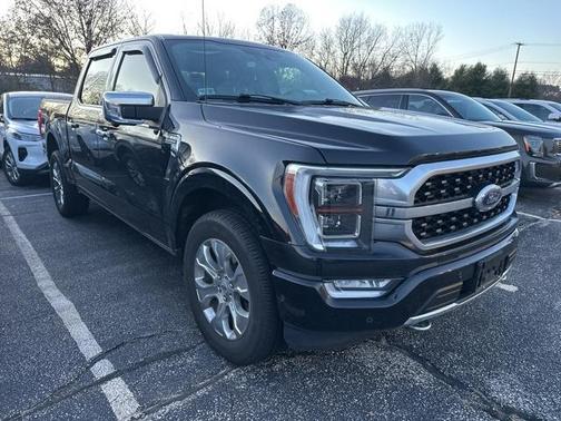 2021 Ford F-150 Platinum