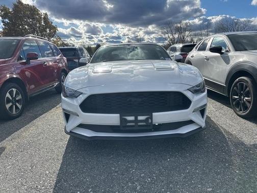 2019 Ford Mustang EcoBoost