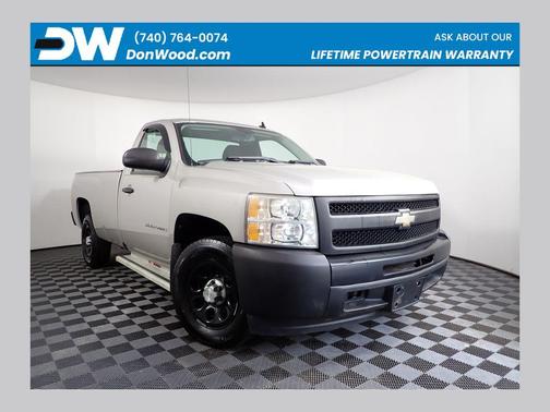 Silver Birch Metallic 2009 Chevrolet Silverado 1500 Work Truck