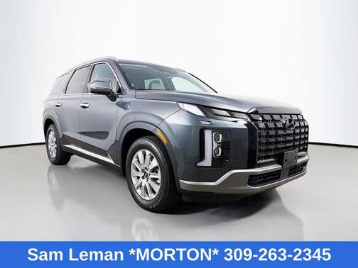 Steel Graphite 2025 Hyundai PALISADE SEL
