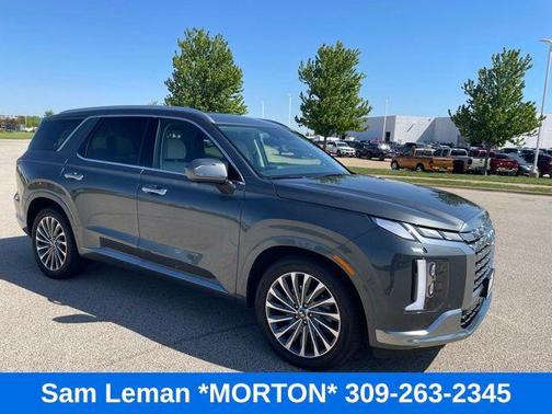 Steel Graphite 2025 Hyundai PALISADE Calligraphy