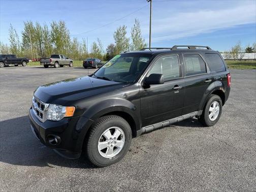 2011 Ford Escape XLT