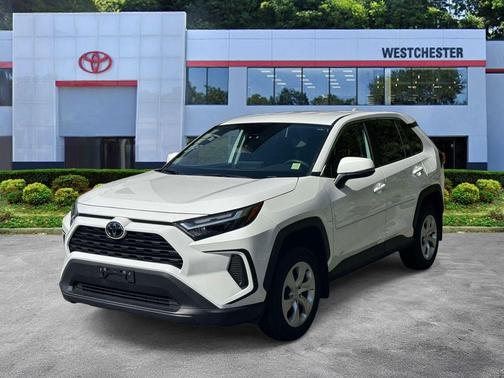 Ice Cap 2023 Toyota RAV4 LE
