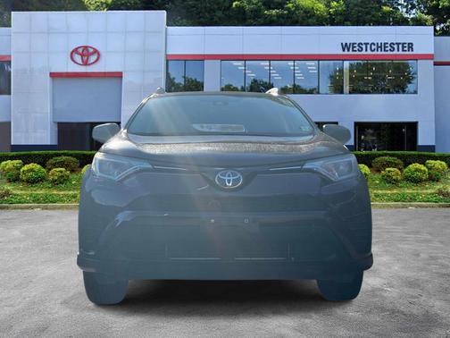 Black Currant Metallic 2018 Toyota RAV4 LE
