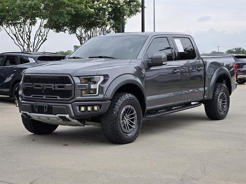 Magnetic 2019 Ford F-150 Raptor