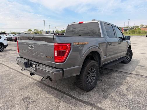 Gray Metallic 2023 Ford F-150 Tremor