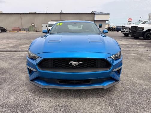 Velocity Blue Metallic 2019 Ford Mustang EcoBoost