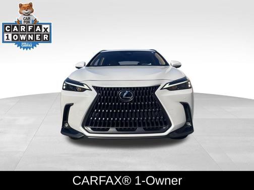 2025 Lexus NX 250 Premium