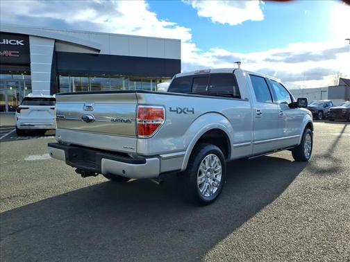 2013 Ford F-150 Platinum