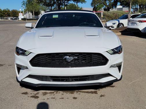2019 Ford Mustang EcoBoost
