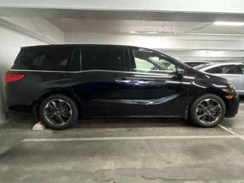 2023 Honda Odyssey Elite