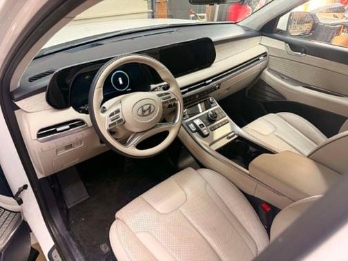 Abyss Black Pearl 2023 Hyundai PALISADE Calligraphy
