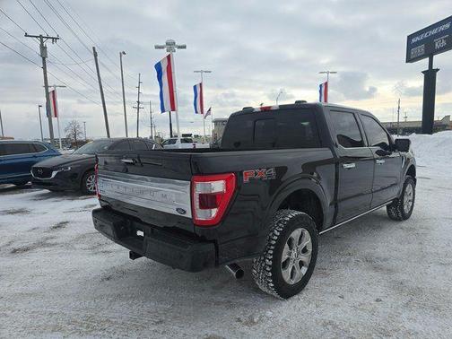 2021 Ford F-150 Platinum