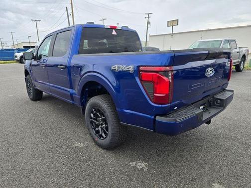 Argon 2026 Ford F-150 STX