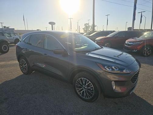 2022 Ford Escape PHEV SEL