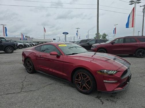 2019 Ford Mustang EcoBoost