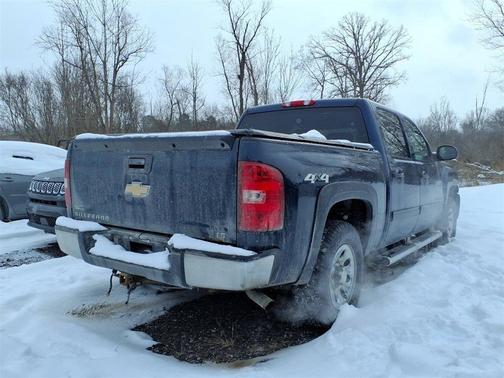 2010 Chevrolet Silverado 1500 LS