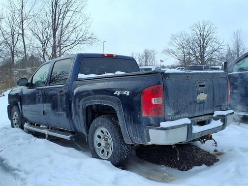 2010 Chevrolet Silverado 1500 LS