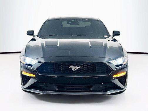 2022 Ford Mustang EcoBoost