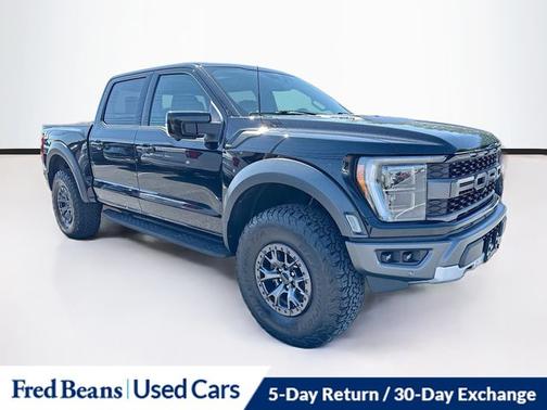 AGATE BLACK METALLIC 2022 Ford F-150 RAPTOR