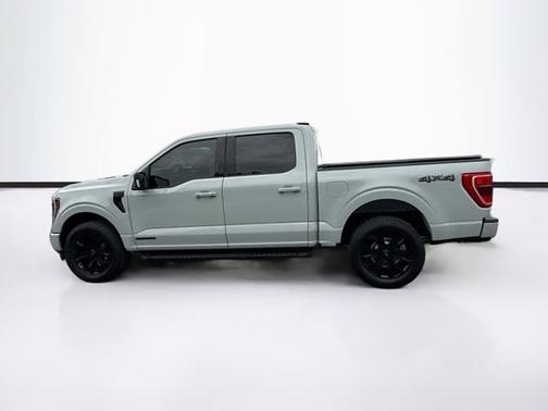 AVALANCHE 2023 Ford F-150 XLT