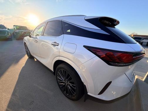 2023 Lexus RX 350 Luxury